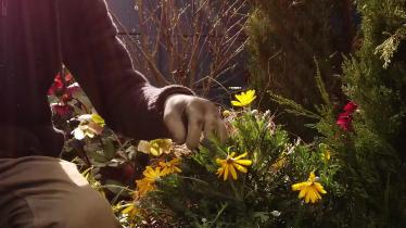 Would you like to feature in a garden design series on RTE?