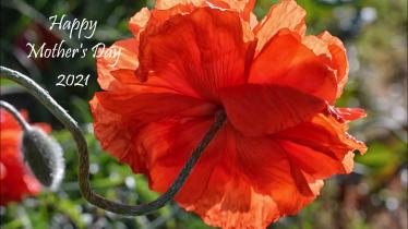 WATCH: It's Mother's Day - Celebrating motherhood through Nature