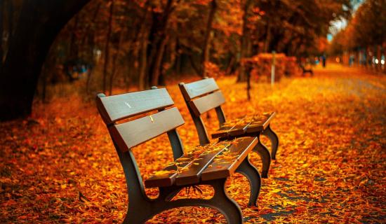 Why October can feel tough and how to protect your mental health this Autumn