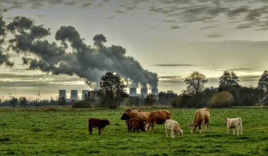 'Time to plan seriously' - State facing fines of up to &euro;20bn for missing carbon targets