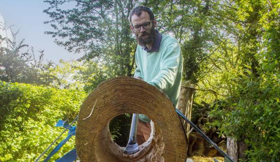 Bee conservationist Mick Verspuij is seeking the public&rsquo;s help in locating bee colonies throughout Inishowen to assist in his PhD research