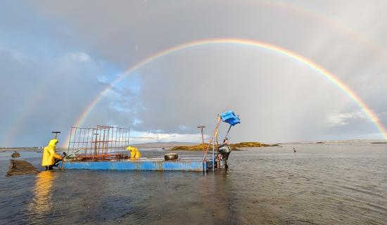 Listening to oysters &ndash; Meet the Donegal farmer innovating with acoustics