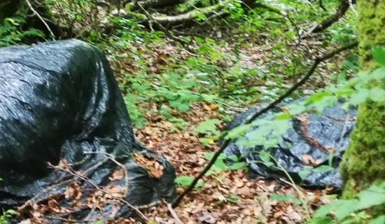 South Donegal fly tipping concerns highlighted in Council MD meeting