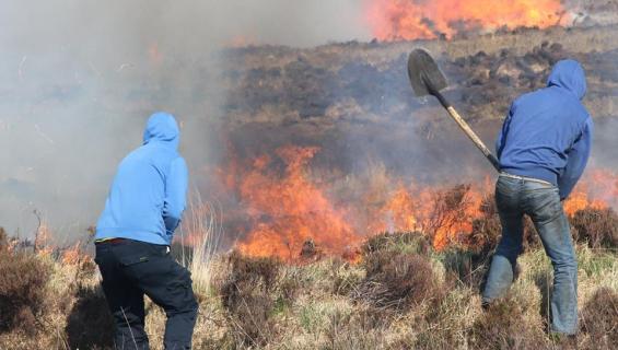 Councillors don't want to see a repeat of gorse fires in the Rosses