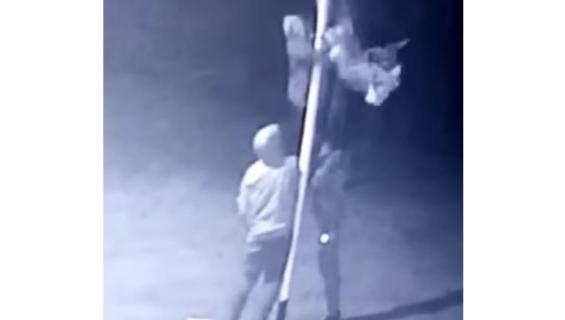 Ongoing violence in N Ireland sparks flag removal incident in Strabane