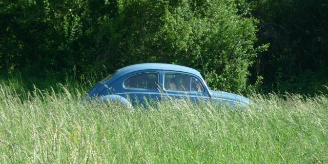 Abandoned VW Beetle to be disposed of - Donegal Live