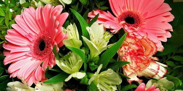 Death notices and funeral arrangements for Donegal on Saturday morning, March 7