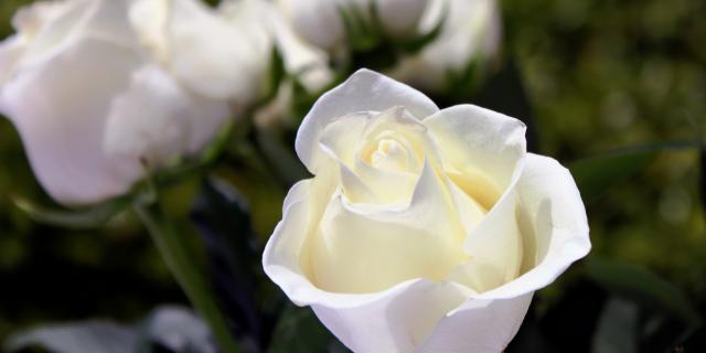 Death notices and funeral arrangements for Donegal on Saturday morning, March 7