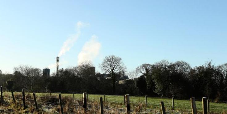 Prosecution possible after illegal felling of ancient Donegal woodland, Department says