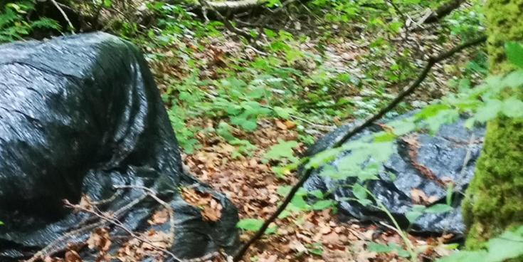 South Donegal fly tipping concerns highlighted in Council MD meeting