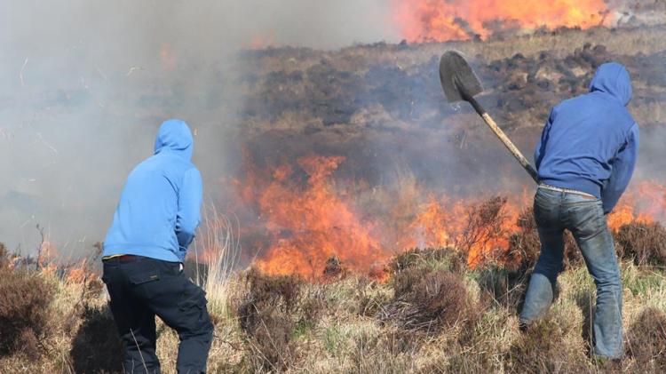 Councillors don't want to see a repeat of gorse fires in the Rosses