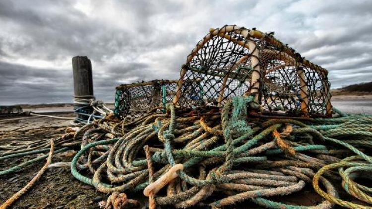 Planning sought for lobster and crab sorting facility in Rossbeg