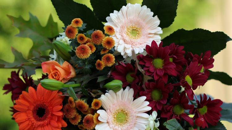 Death notices and funeral arrangements for Donegal on Wednesday morning, December 24