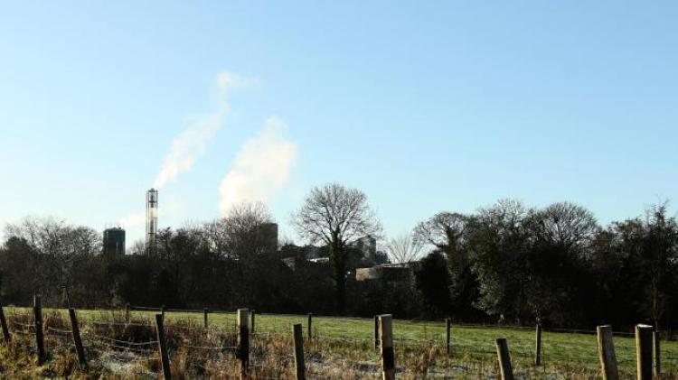 Prosecution possible after illegal felling of ancient Donegal woodland, Department says