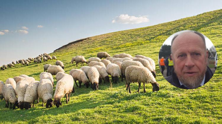 Kinlough&rsquo;s James Gallagher elected Chair of IFA Hill Farming Committee