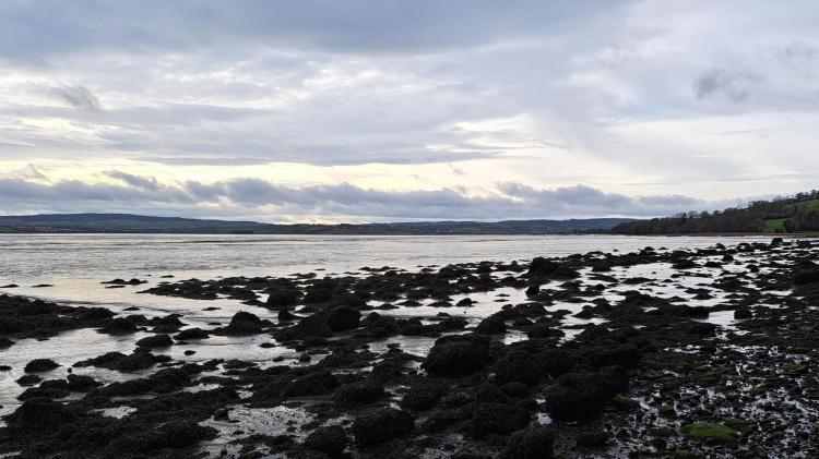 A Cold morning in Donegal with frost, ice and any fog or freezing fog clearing