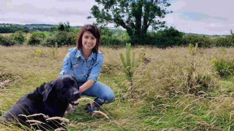 Final call for Donegal residents to apply for Hare&rsquo;s Corner biodiversity project