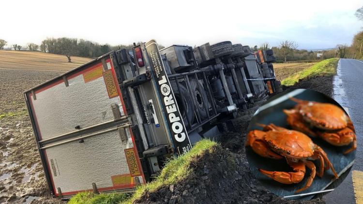 15,000 crabs bound for Portugal almost made a Donegal getaway following crash