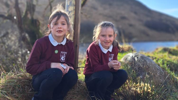 Donegal primary schools invited to take part in Coillte photography competition