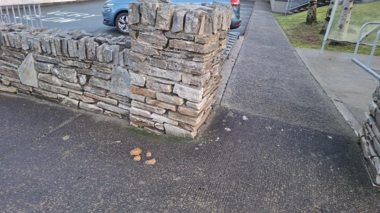 Councillor brands dog fouling outside Glenties school &lsquo;disgraceful and dangerous&rsquo;