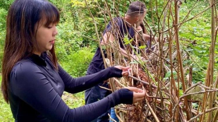 Dealing with the threat of invasive plants and helping to restore natural harmony