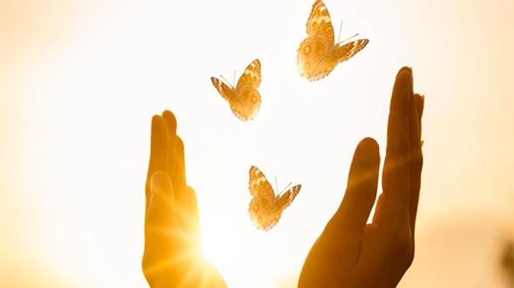 Monthly meeting for bereaved parents in Donegal taking place next week