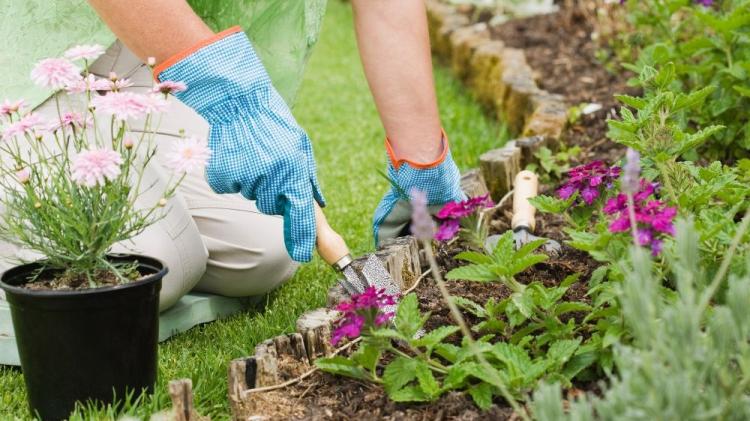 Two spring community gardening groups taking place in south-west Donegal