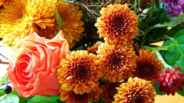 Death notices and funeral arrangements for Donegal on Friday morning, February 6