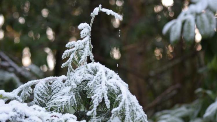 Rather windy in Donegal later, with falls of sleet and snow for a time