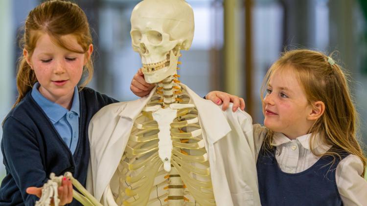 Lurgybrack&nbsp;National School, Letterkenny to represent Donegal at STEMtacular