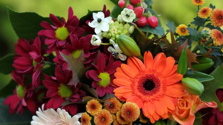 Death notices and funeral arrangements for Donegal on Saturday morning, March 7