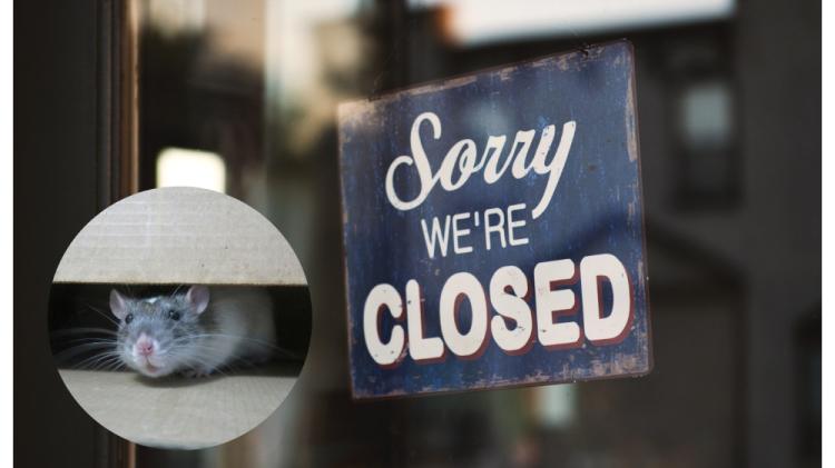 'Rat droppings on food' - Popular Letterkenny food store forced to close doors in February