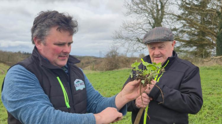From a total herd wipeout to full organic farming in Ballyshannon