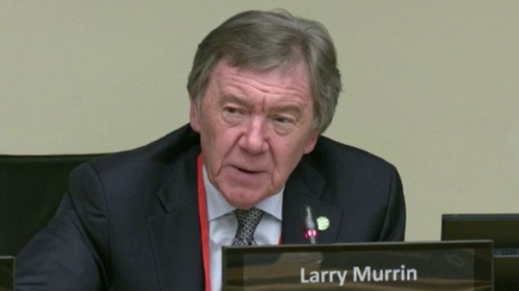 Donegal County Council seeks removal of Bord Bia chair Larry Murrin