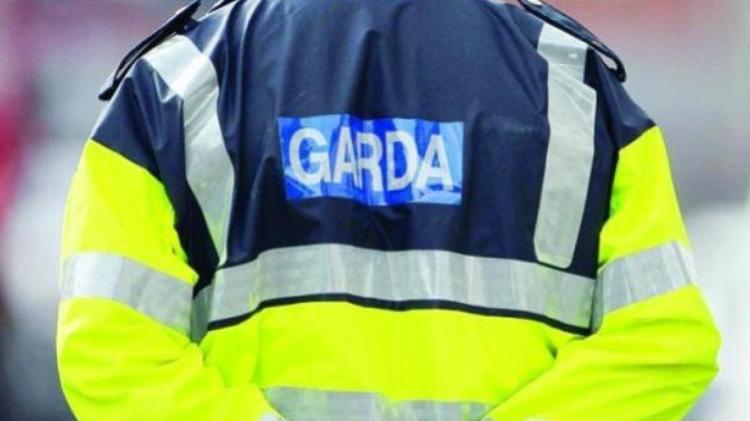 Bucket of digger stolen from forest in south Donegal