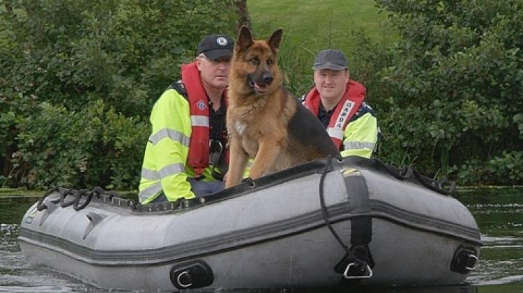 New request to be made for establishment of Garda dog unit in Donegal
