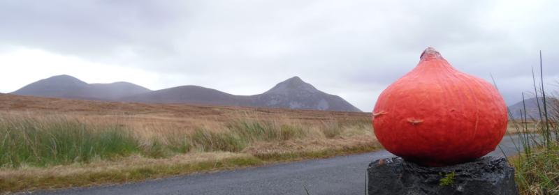 Samhain Harvest event set for Falcarragh