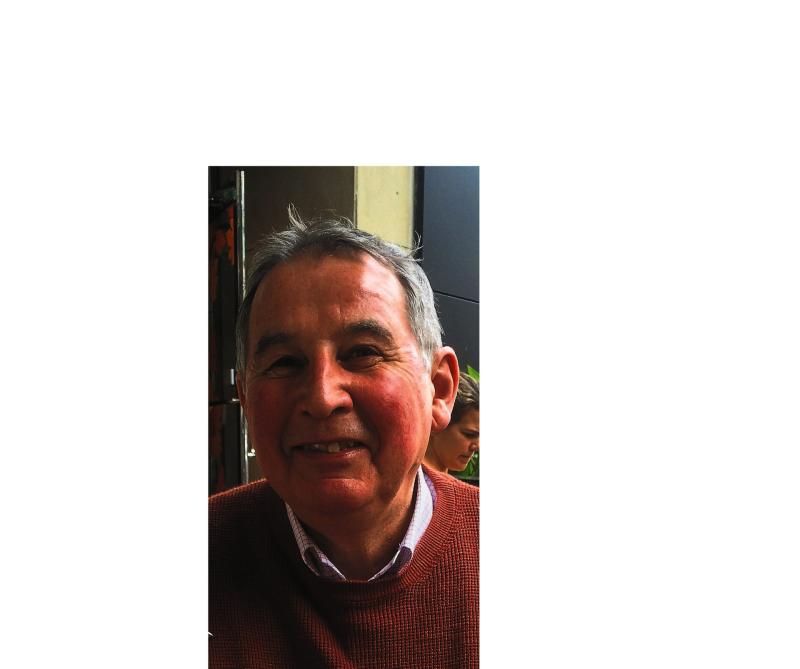 Call for HSE to release findings of internal investigation