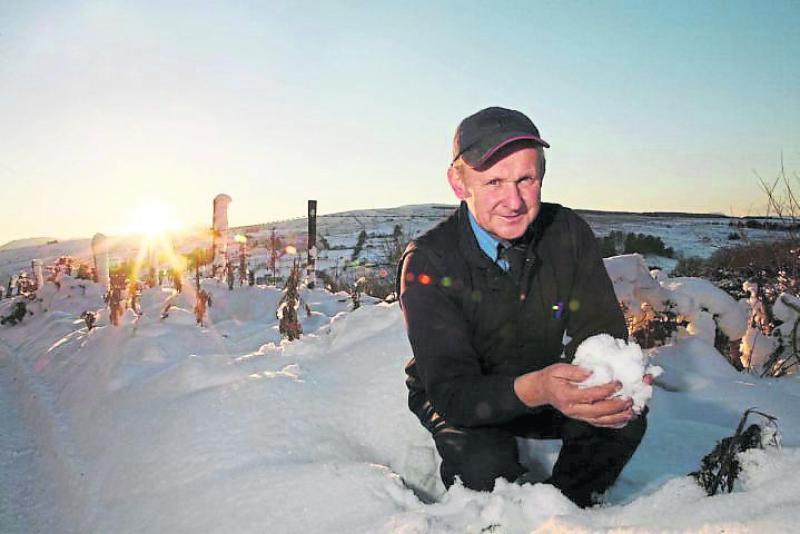 "There's a good chance" we will have a White Christmas in Donegal