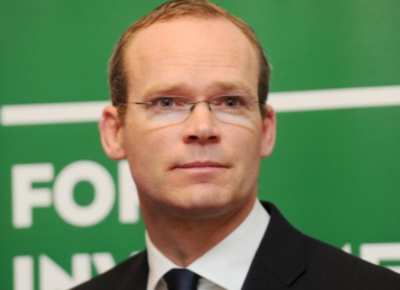 Coveney concerned as Palestinian NGOs supported by Irish Aid classed as terrorists
