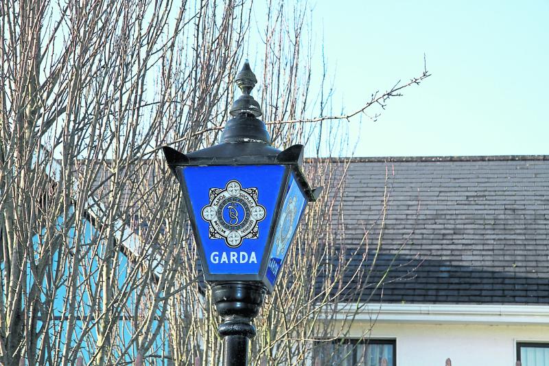 Man charged after alleged Theft and alleged Assault on Garda Member