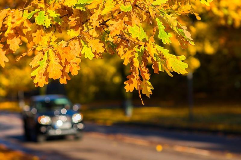Things you should know when buying a new car