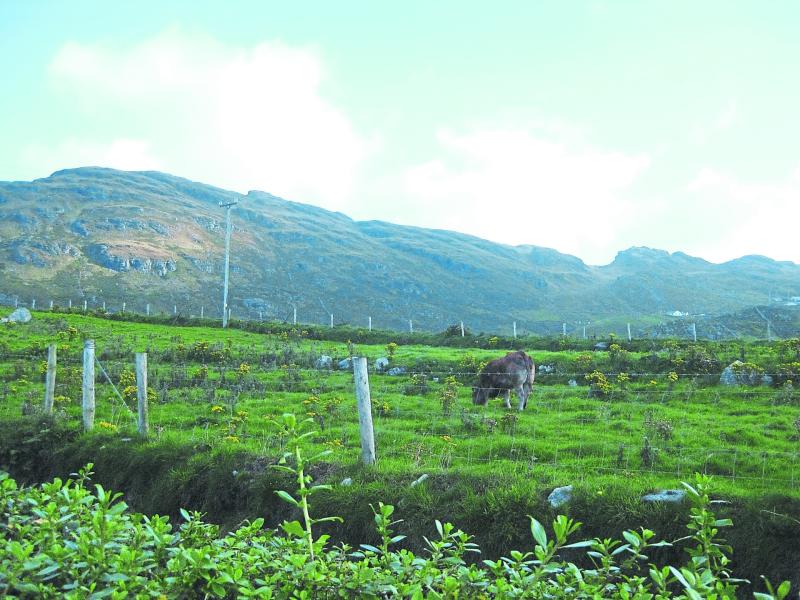Furious Donegal farmers blast missed payment deadlines