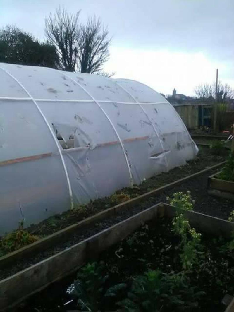 Donegal community garden group disheartened following vandalism 