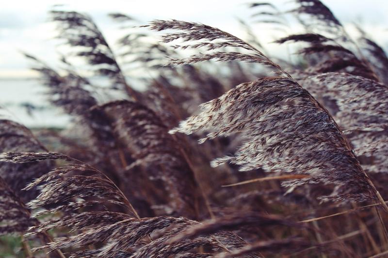 Today's weather in Donegal