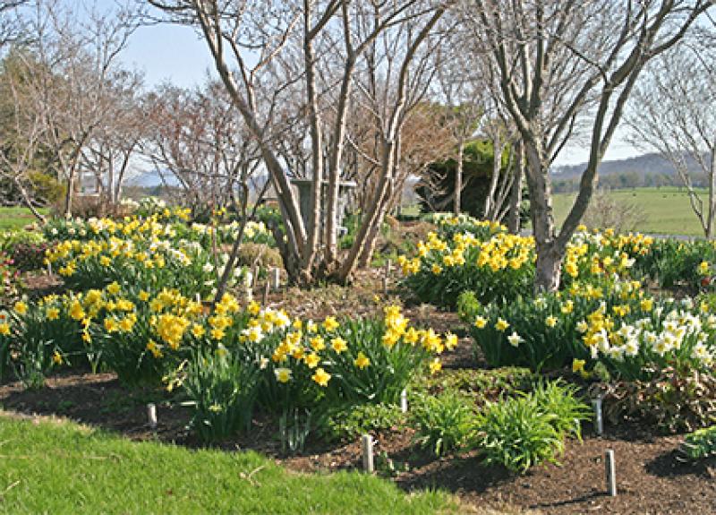 What's the weather going to be like today in Donegal?