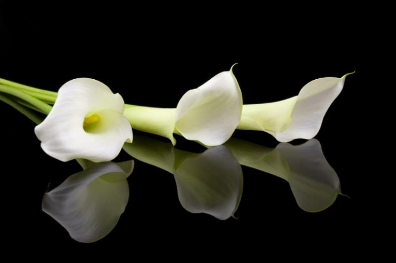 Deaths in Donegal, Sunday, April 30th, 2017