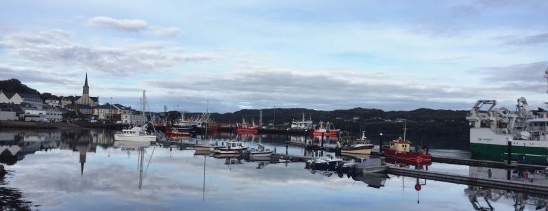 Donegal businessman says government must protect Donegal and Irish fishing interests