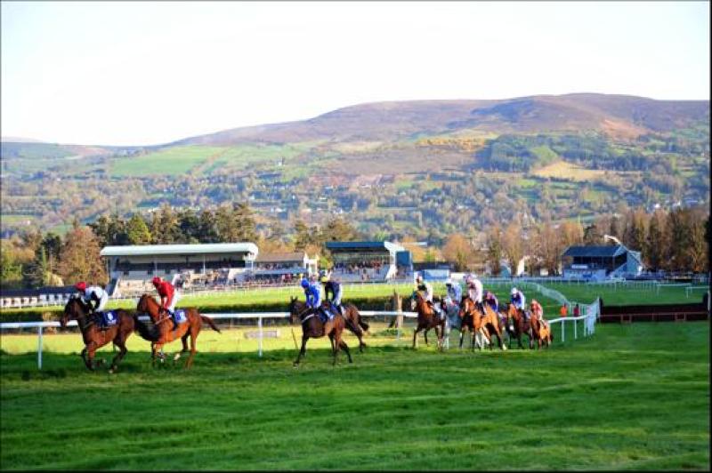 THE PUNTER'S EYE: Four horses who could land the odds at Clonmel tonight 