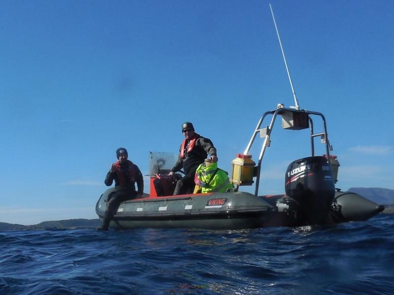 Donegal divers prepare to snorkel to Tory